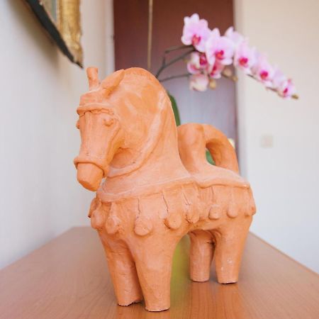 Apartment Todorovic - Macan بولا المظهر الخارجي الصورة